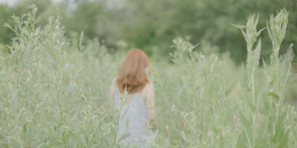 Niz poetskih slika, vizuelnih metafora vezanih za djetinjstvo provedeno na selu