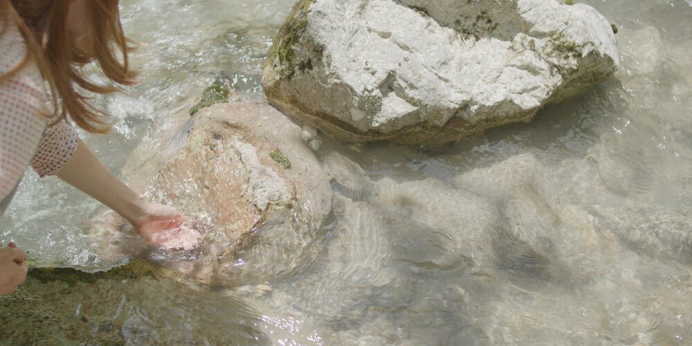 Odrodili smo se od prirode: Radenović