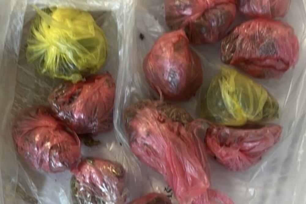 Droga zaplijenjena u bulevaru Pera Ćetkovića, Foto: Uprava policije