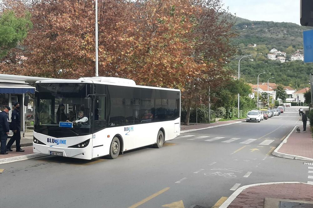 Gradski prevoz u Tivtu, Foto: Siniša Luković