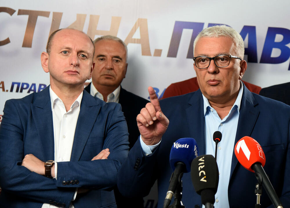 Za budućnost Crne Gore, Andrija Mandić, Milan Knežević