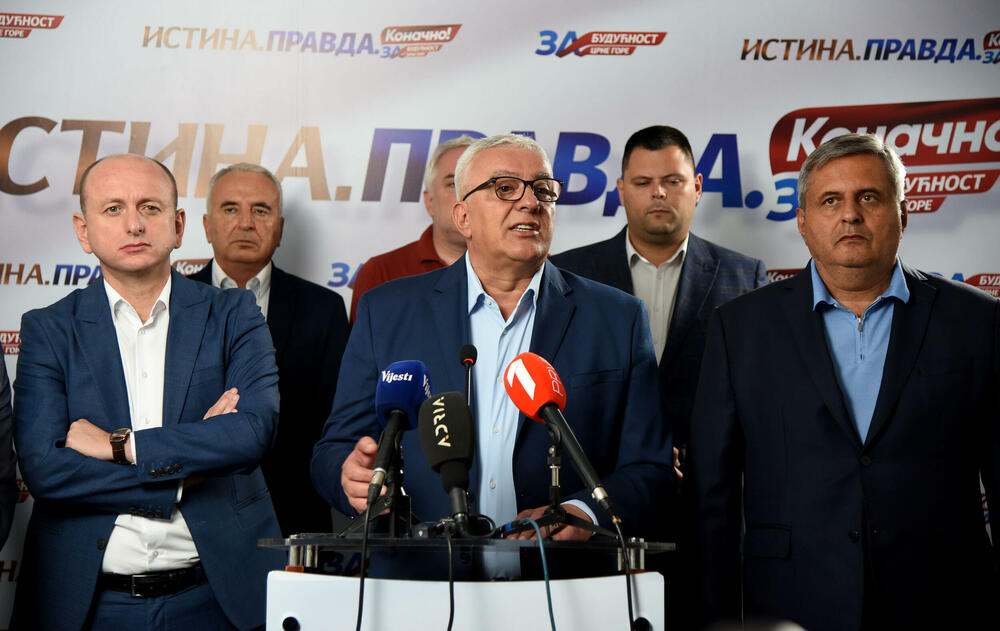 Za budućnost Crne Gore, Andrija Mandić, Milan Knežević