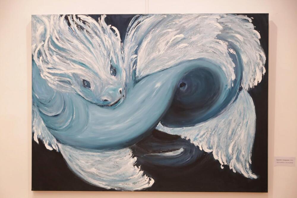 Izložba "More i snovi", Foto: Barski ljetopis