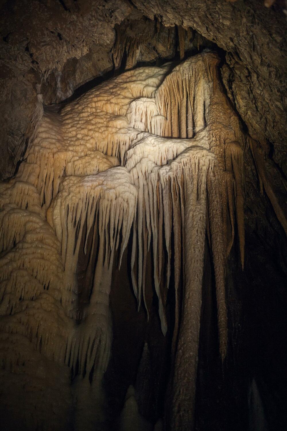 <p>Dogovorili smo se da u tajnosti držimo lokaciju i istraživanja i da što je moguće više čuvamo od devastacije. U tom cilju smo uvijek nosili rezervni par čiste obuće ili smo išli u čarapama ili bosi, ako se moralo, da bismo sačuvali pojedine netaknute djelove pećine izvanredne ljepote</p>
