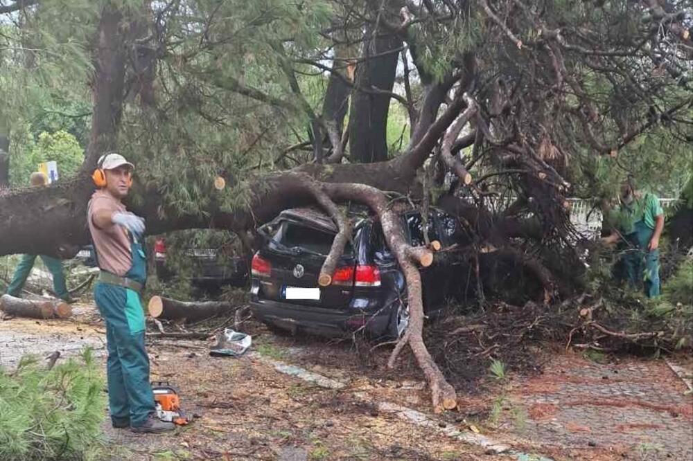 Foto: Oči Podgorice/Facebook