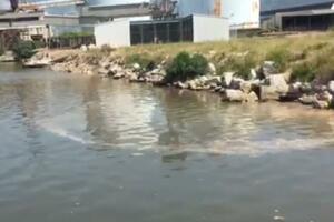 Sindikat "Port of Adrije": Ispuštaju otpadne vode u more, barske...