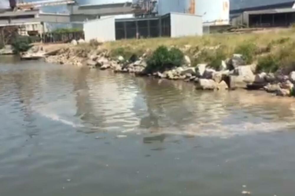 Snimci dostavljeni od strane sindikalne organizacije zaposlenih u "Port of Adrija", Foto: SOZ Port of Adria