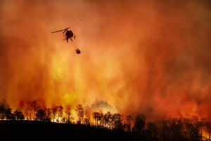 Šumski požar nekontrolisano gori na sjeveru Grčke 11. dan, uprkos...