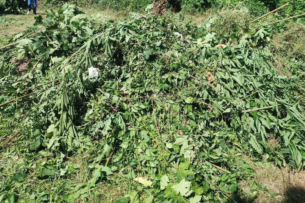 Započeta aktivnost lokalnog javnog rada „Čišćenje i održavanje opštinskih puteva, drugih javnih površina, obala i korita vodotoka na teritoriji opštine Nikšić“, Foto: Sekretarijat za komunalne poslove i saobraćaj