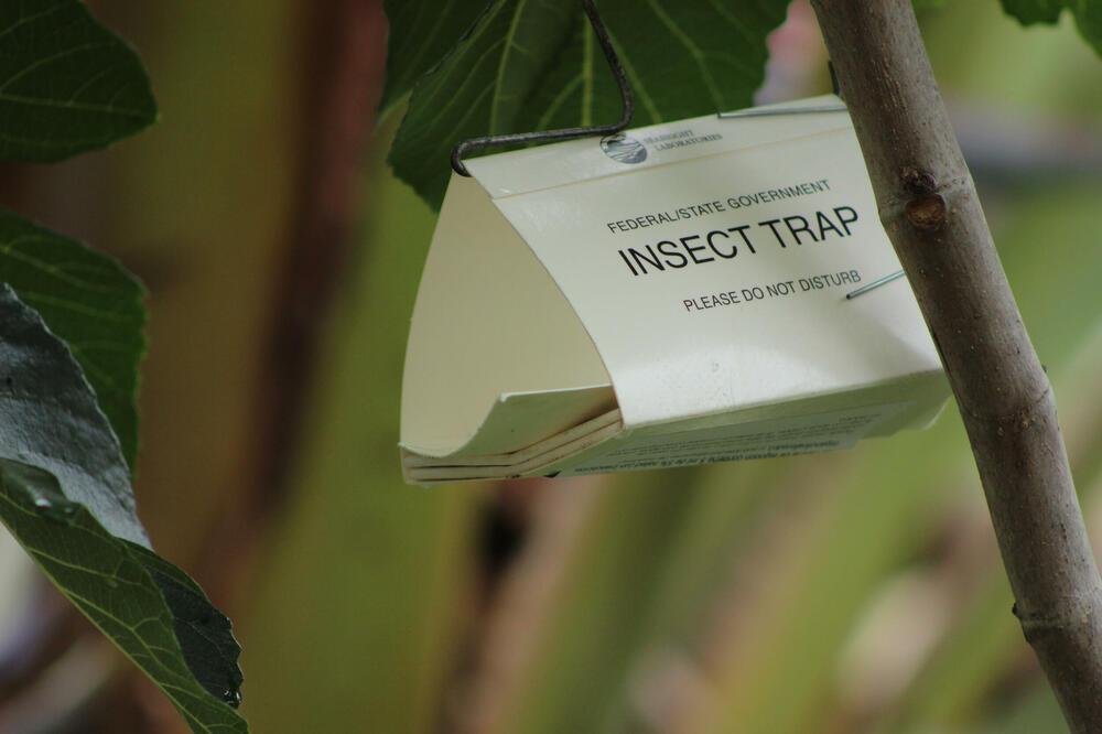 Ilustracija, Foto: Shutterstock