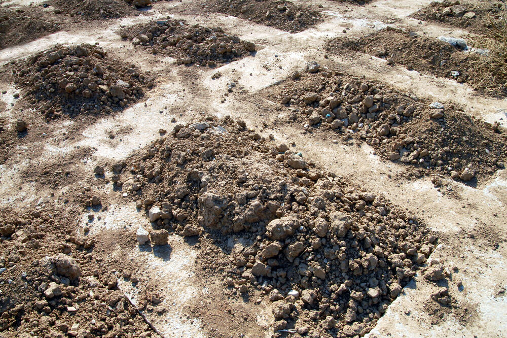 Ilustracija, Foto: Shutterstock