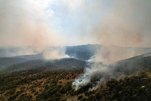 Grčka pojačava napore za gašenje šumskog požara koji na sjeveru...