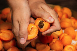 Uprava za bezbjednost hrane: Naloženo uništavanje voća, ali zbog...