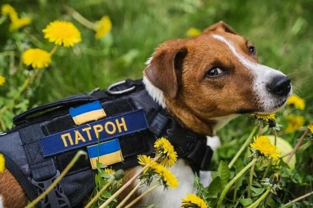 U Patronovim objavama na društvenim mrežama se nude savjeti kako se izboriti protiv eksploziva i teških emocija, Foto: DSNS