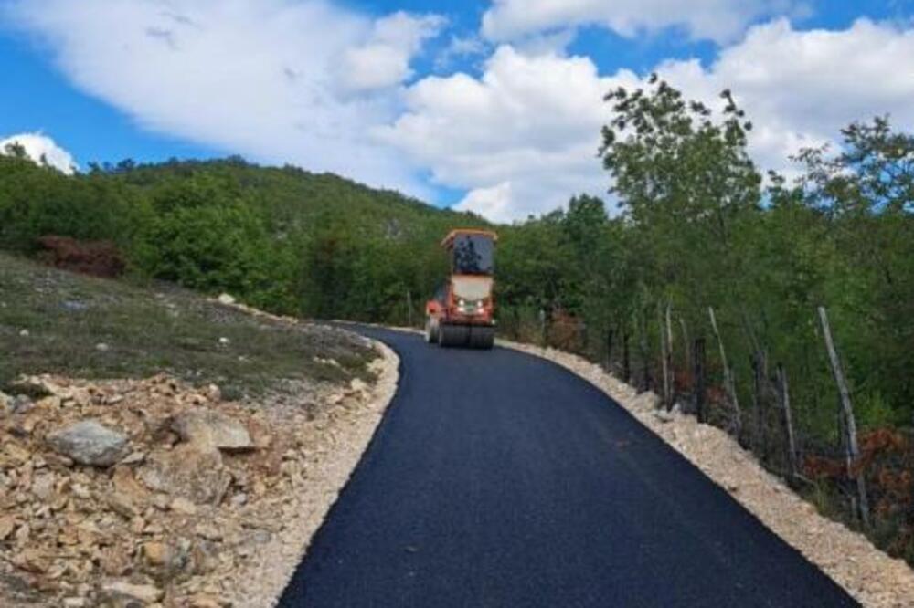 Boroćanac, Foto: Opština Nikšić