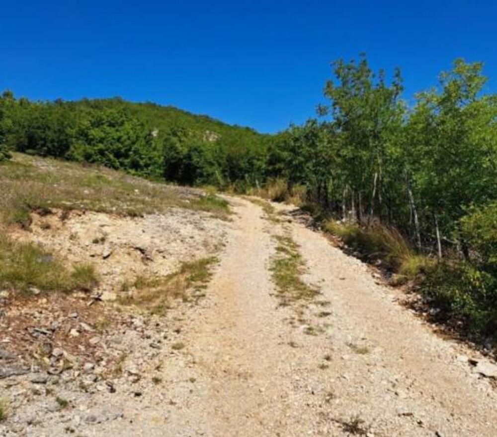 <p>"Uz malo strpljenja stići ćemo svuda gdje je to potrebno u najvećoj opštini na prostoru bivše Jugoslavije”, istakao je predsjednik Opštine Nikšić</p>