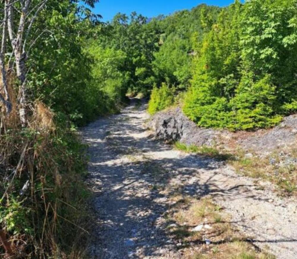 <p>"Uz malo strpljenja stići ćemo svuda gdje je to potrebno u najvećoj opštini na prostoru bivše Jugoslavije”, istakao je predsjednik Opštine Nikšić</p>