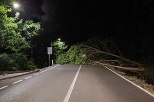 Put Danilovgrad - Spuž: Drvo palo na kolovoz, saobraćaj zatvoren