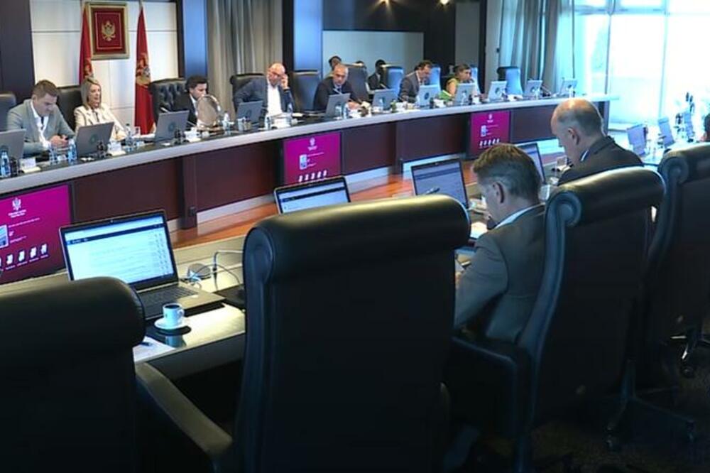 Detalj sa sjednice, Foto: Printscreen YouTube