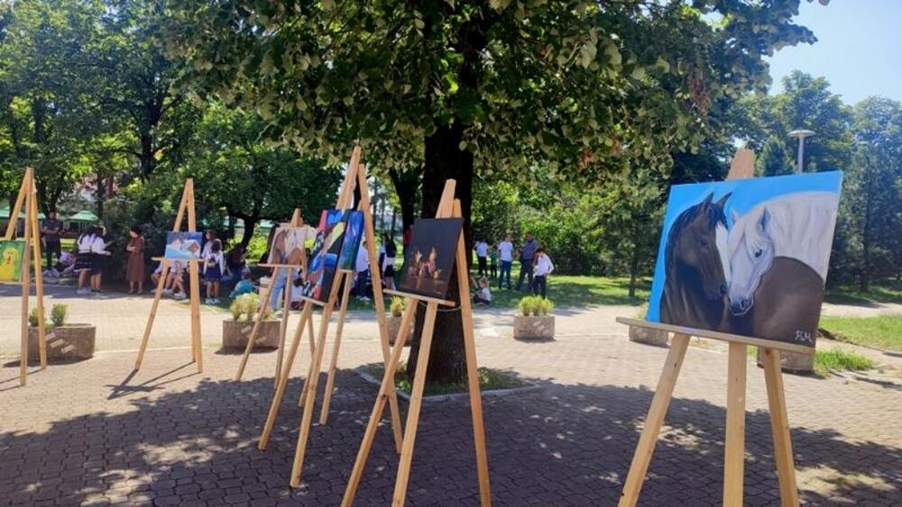 <p>Sloboda stvaranja u Ateljeu „Put“, može služiti kao važan podsticaj za razvoj kreativnosti i prihvatanja vlastite emocionlnosti, kazala je akademska slikarka Olivera Eraković</p>