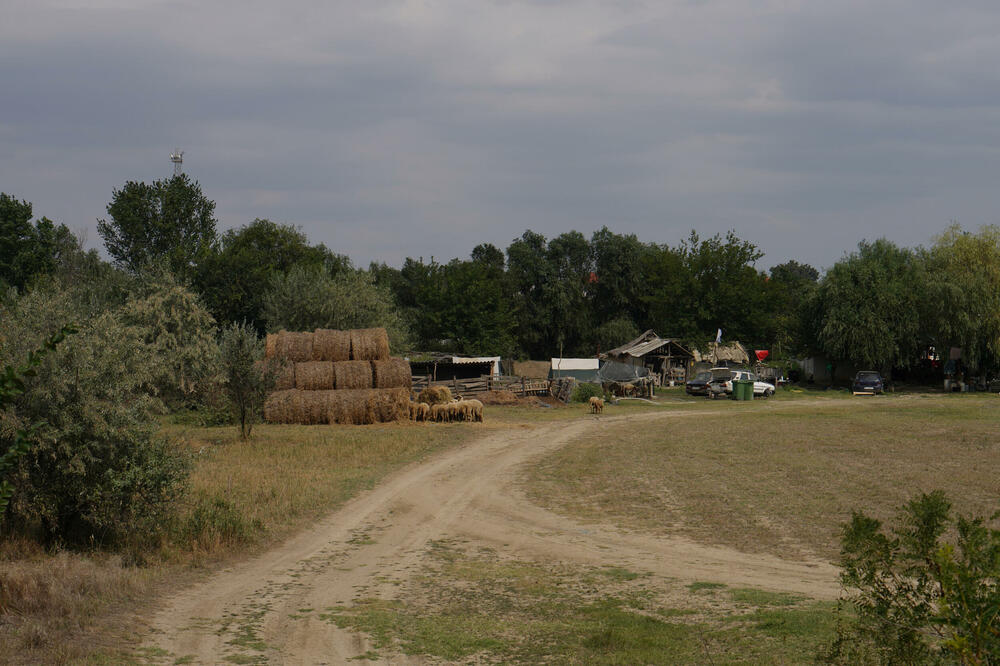 Mjesto Plauru u Rumuniji u blizini granice sa Ukrajinom, Foto: Reuters