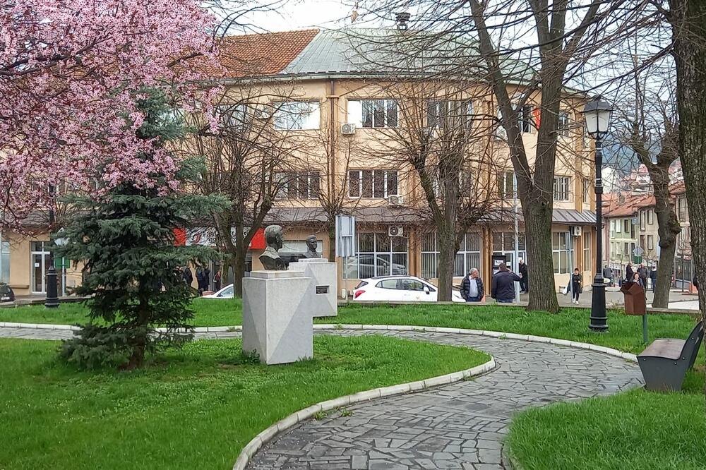 Odluka na sjednici Skupštine opštine: Pljevlja, Foto: Goran Malidžan