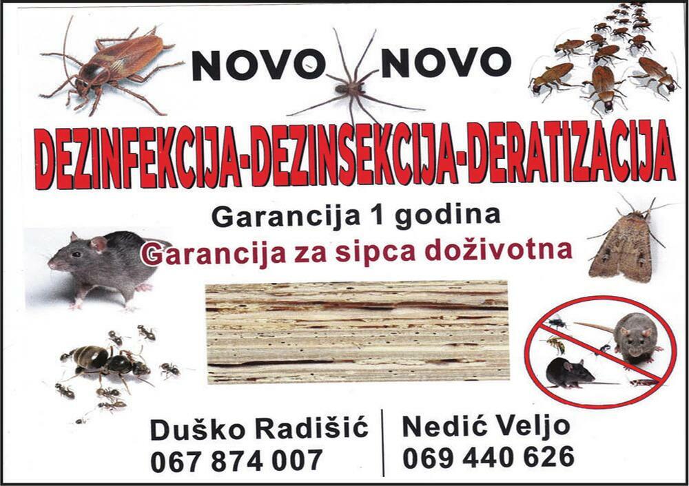 Dezinfekcija