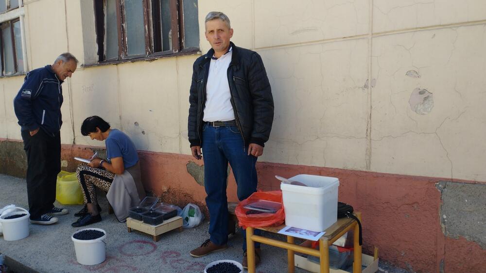 Više se isplati prodaja borovnice na ulici