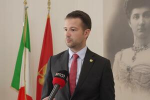 Milatović: Nadam se da će Vlada promijeniti odluku da podrži...