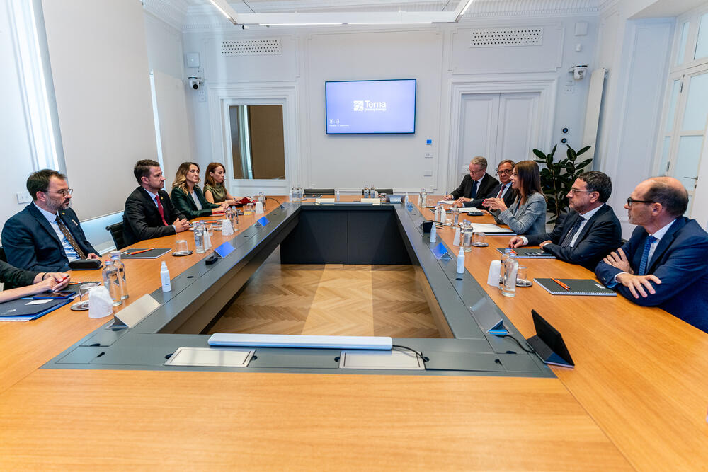 <p>"Geografska i kulturna bliskost Crne Gore i Italije su prirodna baza za snaženje ekonomskih veza"</p>