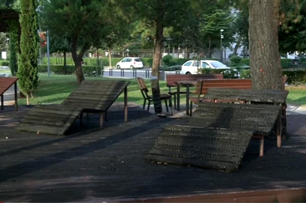 Detalj iz parka, Foto: Screenshot/TV Vijesti