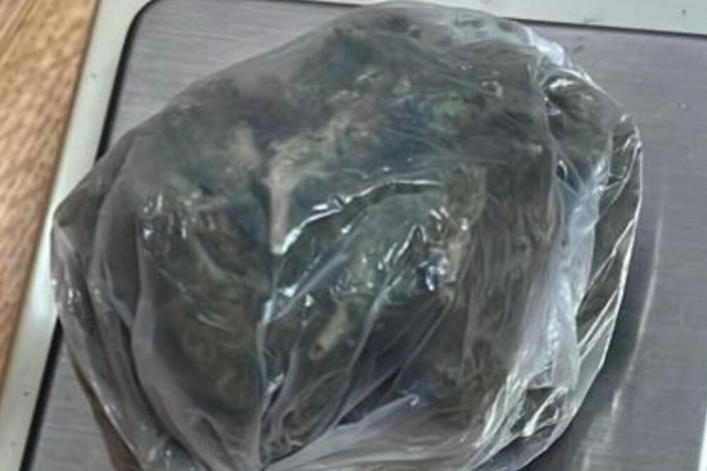 Pronađena droga u Baru, Foto: Uprava policije