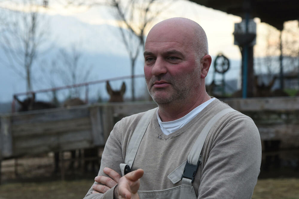 Darko Saveljić, Foto: Luka Zekovic