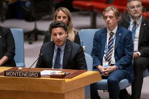 Abazović at the UN Security Council briefing: Return to the original idea and let's...