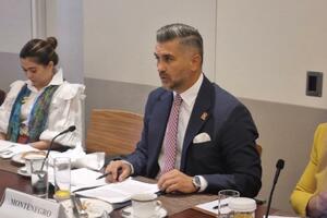 Markić: Crna Gora posvećena daljem jačanju multilateralizma