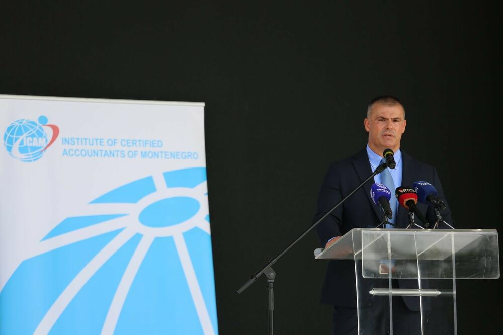 Vladimir Bulajić, Foto: Uprava prihoda i carina