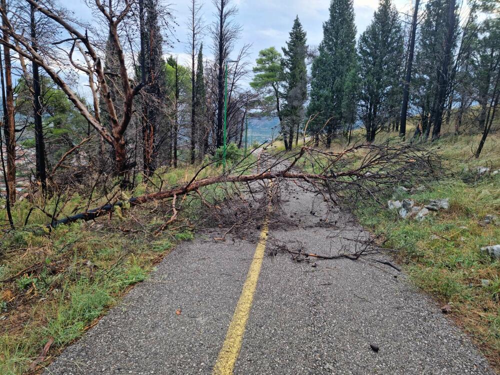 <p>Tokom večeri duvao jak vjetar, i danas se očekuje promjenljivo i svježije vrijeme</p>