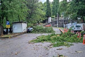 Nevrijeme pogodilo više gradova: Dio drveta pao na auto u...