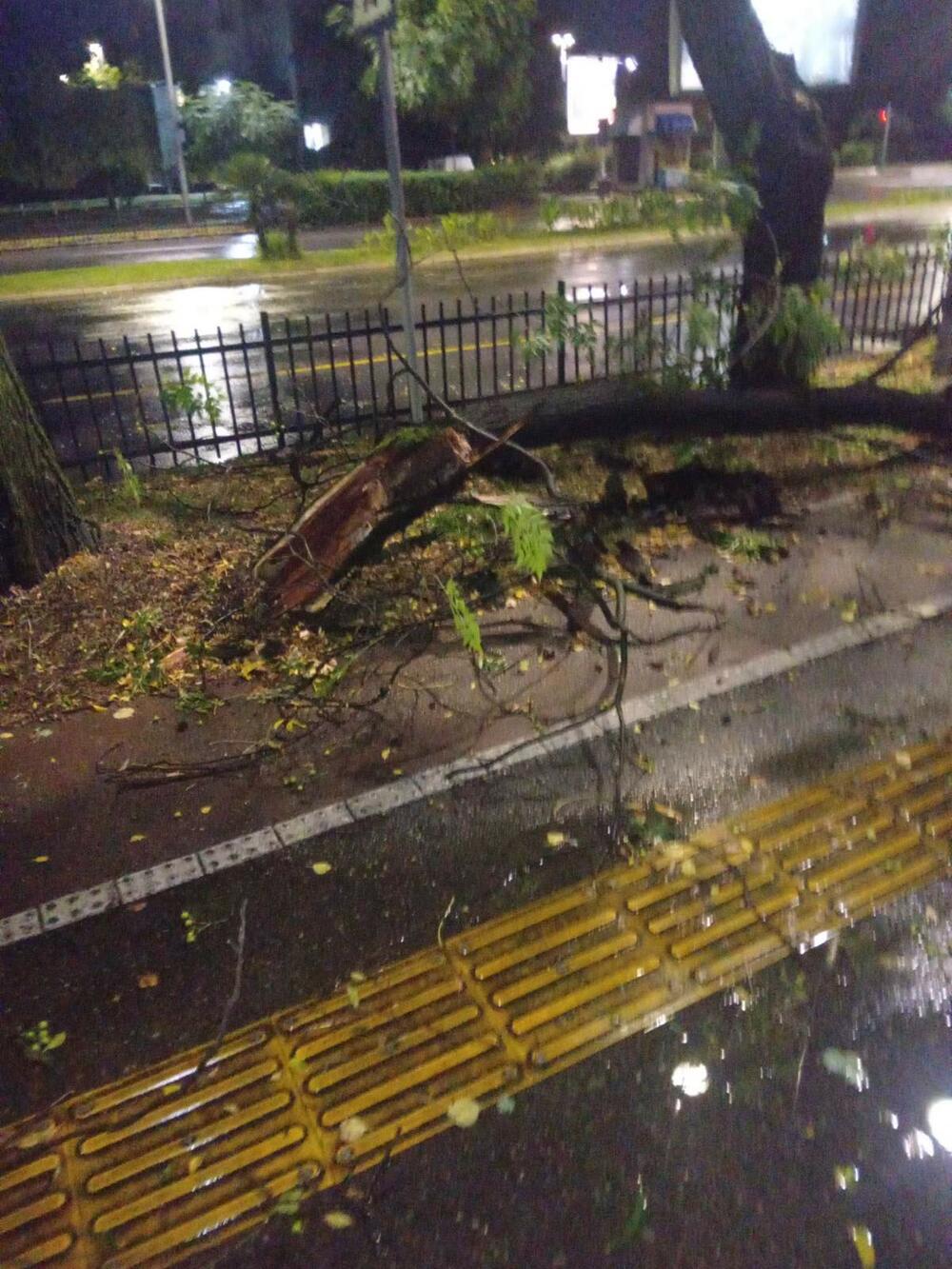 <p>Tokom večeri duvao jak vjetar, i danas se očekuje promjenljivo i svježije vrijeme</p>