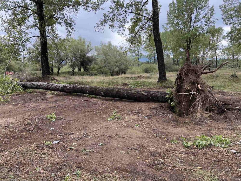 <p>Tokom večeri duvao jak vjetar, i danas se očekuje promjenljivo i svježije vrijeme</p>
