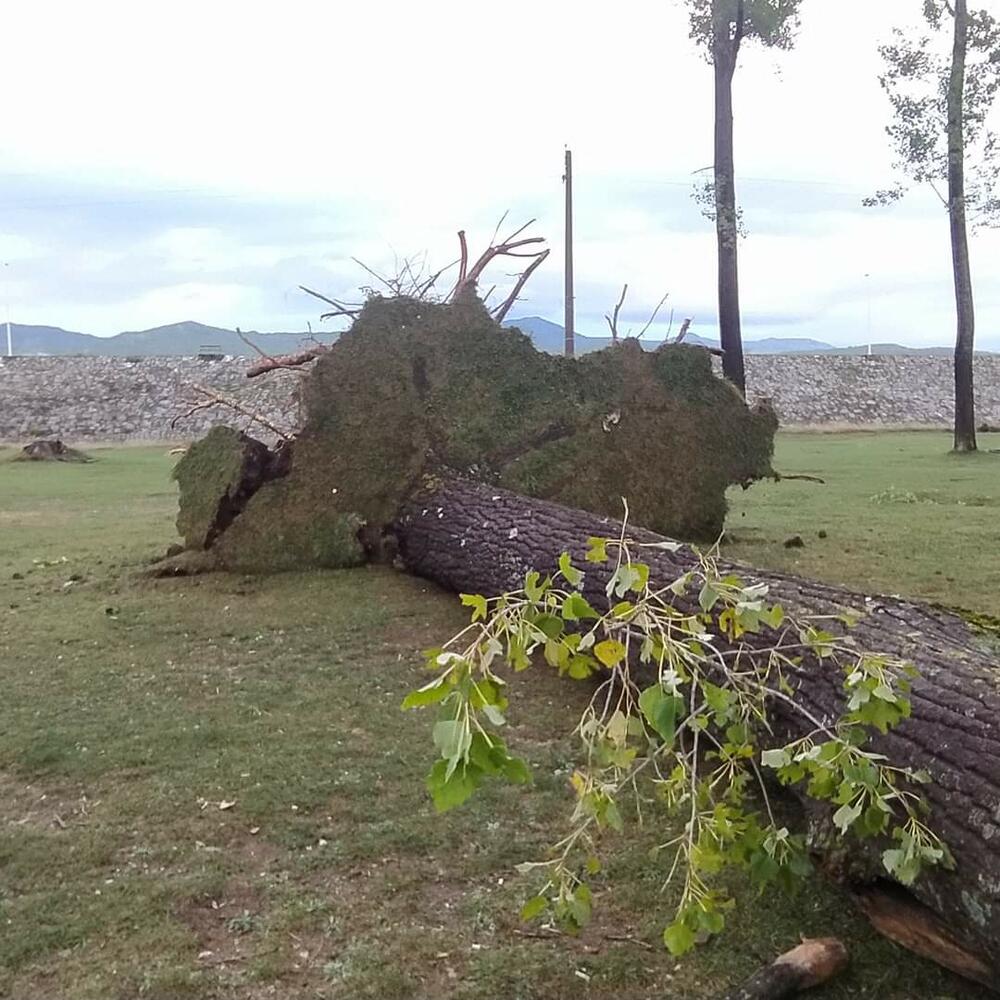 <p>Tokom večeri duvao jak vjetar, i danas se očekuje promjenljivo i svježije vrijeme</p>