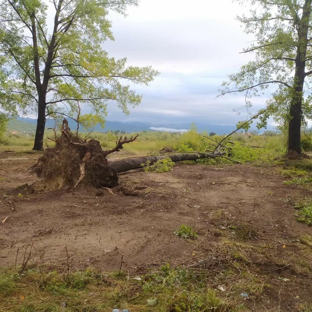 <p>Tokom večeri duvao jak vjetar, i danas se očekuje promjenljivo i svježije vrijeme</p>