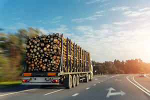 UP: Vozili ogrijevno drvo bez važeće dokumentacije, kamioni nisu...