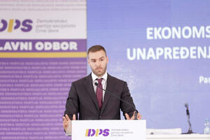 Rakočević: DPS natjerao Vladu da razmišlja o životnom standardu...