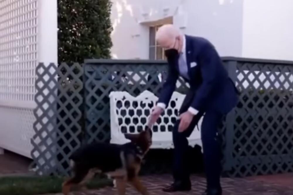 Bajden i njegov pas, Foto: Screenshot/Youtube