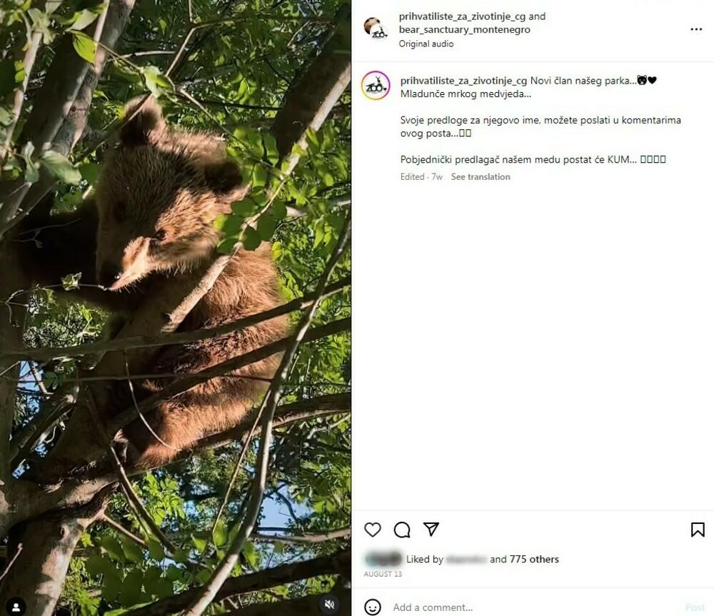 Nagradna igra za ime za meče organizovana dvije sedmice pošto je nađeno