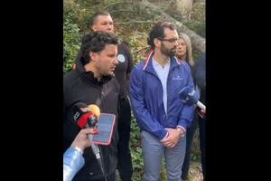 UP i ANB imaju imena onih koji se bave eksploatacijom šuma