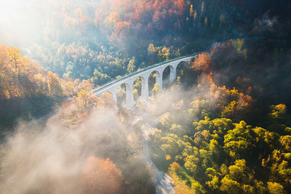 Pobjednička fotografija