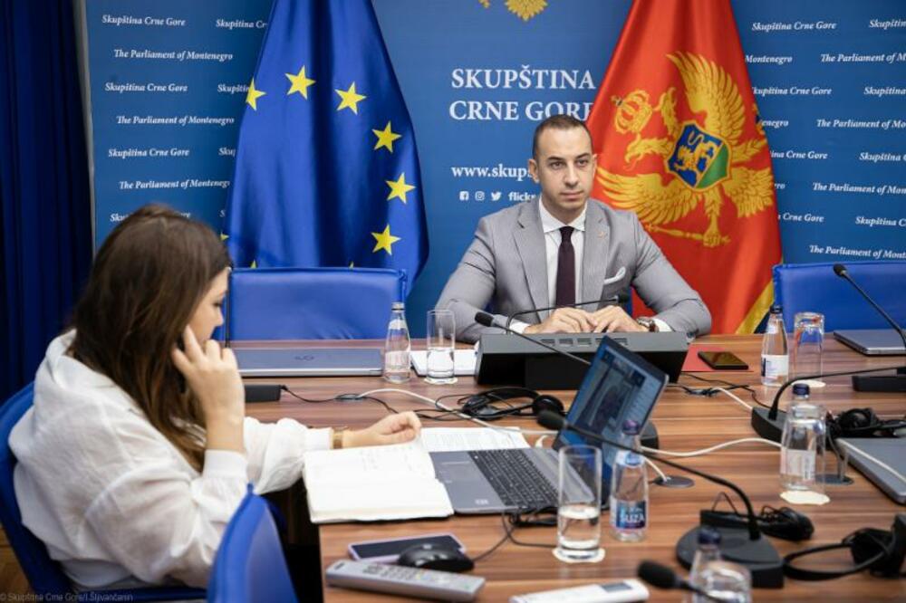 Klarić na onlajn sastanku Asocijacije generalnih sekretara parlamenata, Foto: Skupština Crne Gore