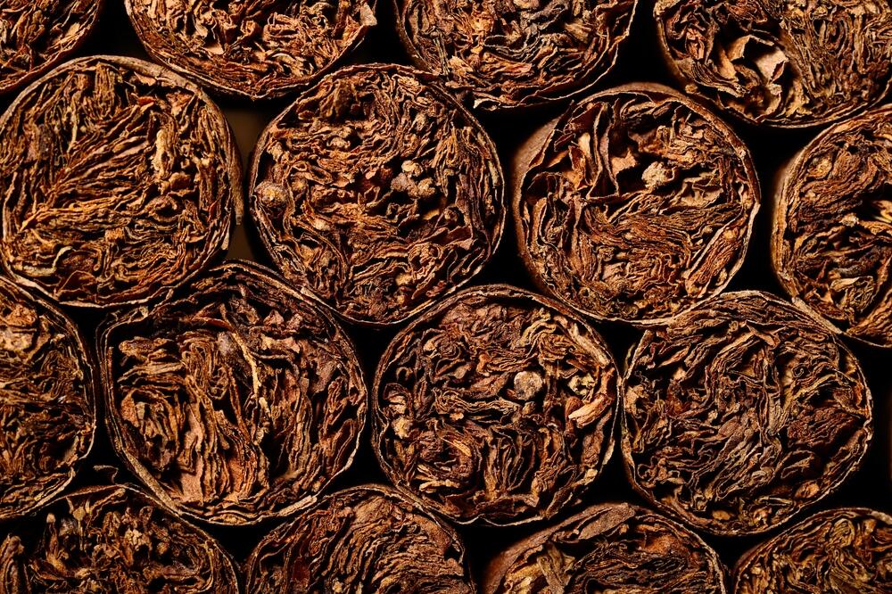 Ilustracija, Foto: Shutterrstock